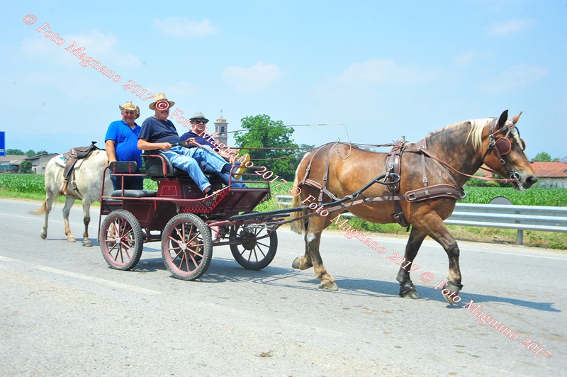 DSC_1097.JPG